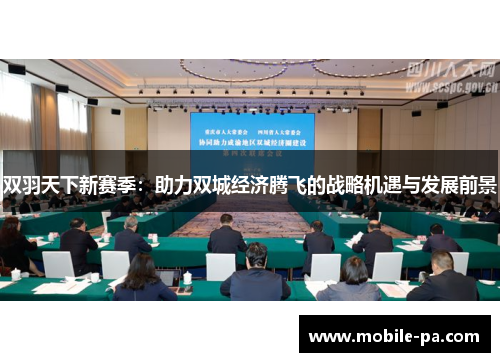 双羽天下新赛季：助力双城经济腾飞的战略机遇与发展前景
