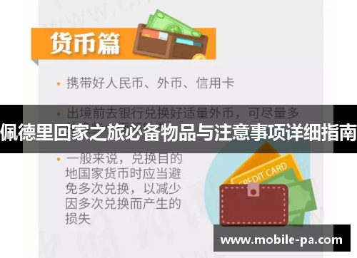 佩德里回家之旅必备物品与注意事项详细指南