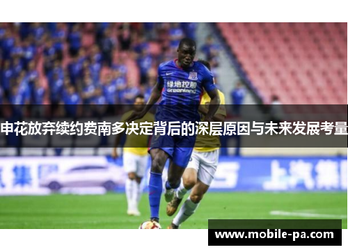 申花放弃续约费南多决定背后的深层原因与未来发展考量