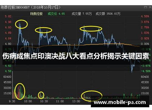 伤病成焦点印澳决战八大看点分析揭示关键因素 伤病成焦点印澳决战八大看点分析揭示关键因素