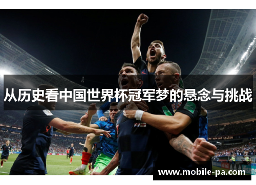 从历史看中国世界杯冠军梦的悬念与挑战