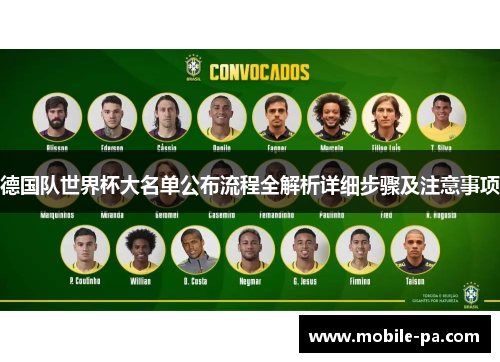 德国队世界杯大名单公布流程全解析详细步骤及注意事项