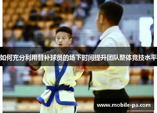 如何充分利用替补球员的场下时间提升团队整体竞技水平