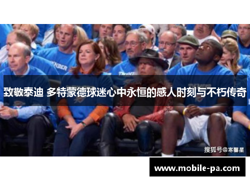 致敬泰迪 多特蒙德球迷心中永恒的感人时刻与不朽传奇