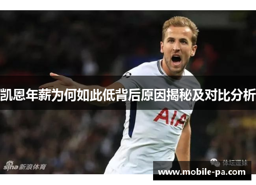 凯恩年薪为何如此低背后原因揭秘及对比分析