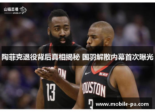 陶菲克退役背后真相揭秘 国羽解散内幕首次曝光