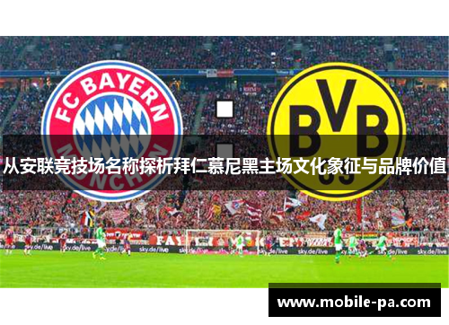 从安联竞技场名称探析拜仁慕尼黑主场文化象征与品牌价值