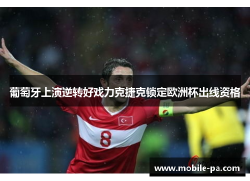 葡萄牙上演逆转好戏力克捷克锁定欧洲杯出线资格