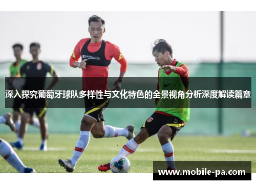 深入探究葡萄牙球队多样性与文化特色的全景视角分析深度解读篇章