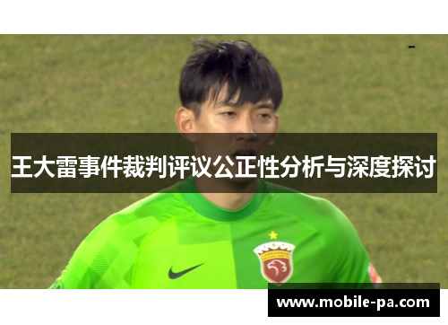 王大雷事件裁判评议公正性分析与深度探讨
