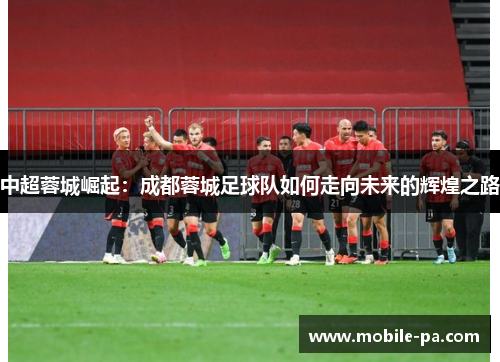 中超蓉城崛起：成都蓉城足球队如何走向未来的辉煌之路